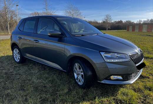 Skoda Fabia 1.0 TSI