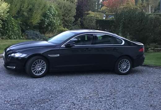 Jaguar XF 2.0 D E-Performance Prestige