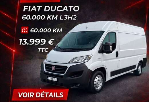 Fiat 2.0 Multijet L3 H2 60.000.km Tva Déductible