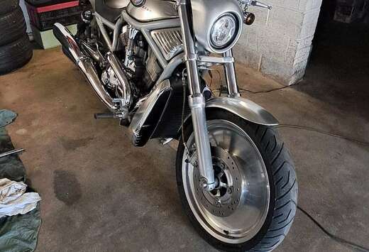Harley-davidson v rod  modèle alu