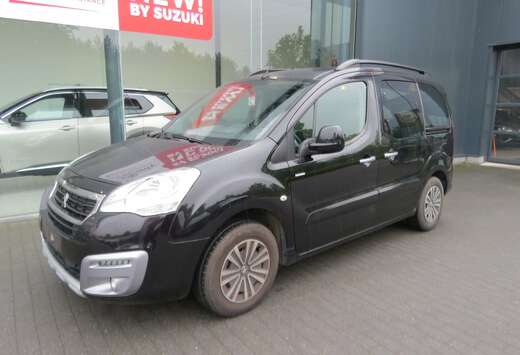 Peugeot Teepee