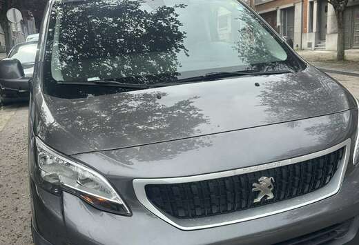 Peugeot 2.0 HDi 229 L2H1 FAP
