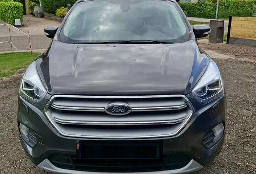 Ford Kuga 1.5 EcoBoost 2x4 Business Edition