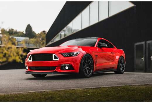 Ford 5.0 L V8 1 OF 1 FORD Performance EU MODEL
