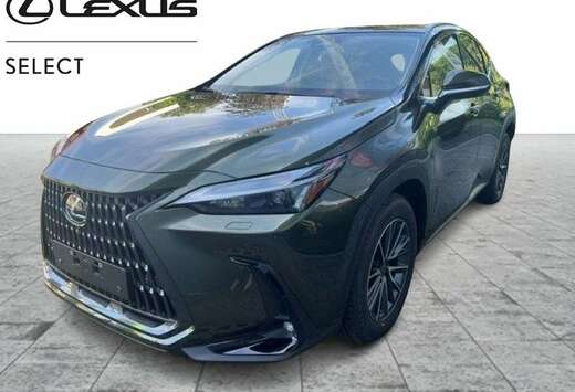 Lexus Executive Line