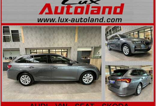 Skoda Combi TSI mHEV Selection Navi ACC 5JG