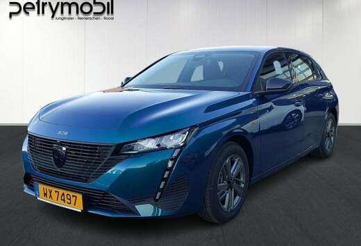 Peugeot III STYLE