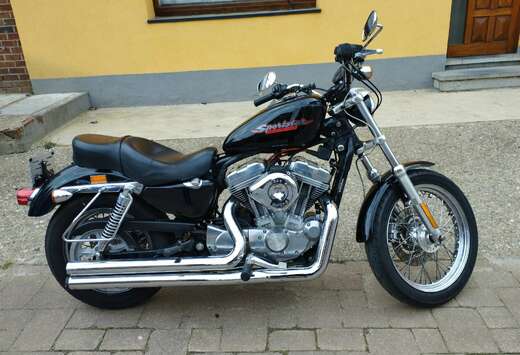 selle confort Harley,