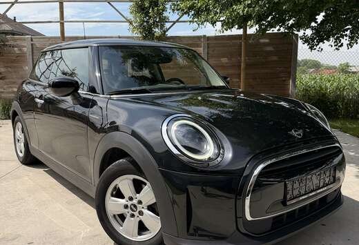 MINI Met 1 Jaar Garantie !