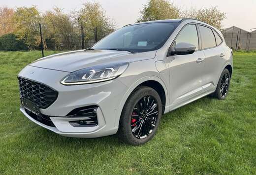 Ford Kuga 1.5 EcoBoost AWD ST Line (EU6.2)