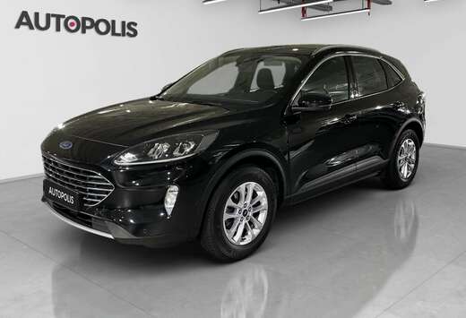 Ford 2.0 EcoBlue Auto