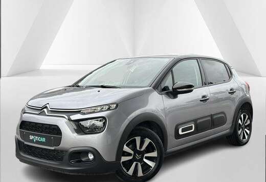 Citroen Max