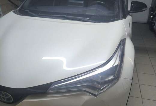 Toyota Hybrid Lounge