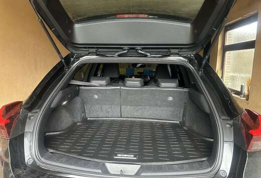 Lexus Business Line Plus