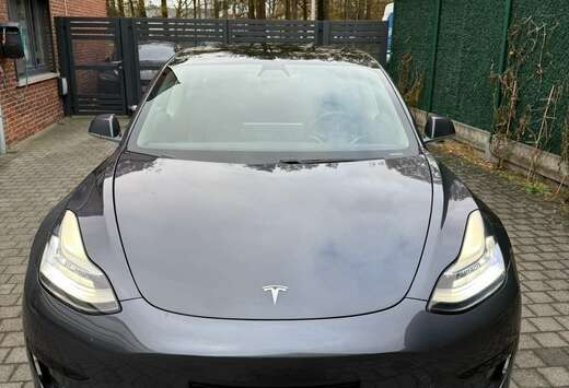 Tesla Standard Reichweite Plus Hinterradantrieb