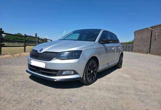 Skoda Fabia 1.4 CR TDi Monte Carlo