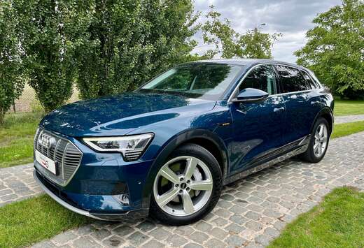 Audi 95 kWh 55 Quattro Advanced/1eignr/72500km/Led/Ca ...