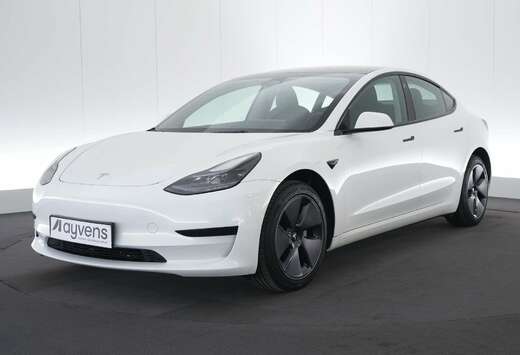 Tesla Standard RWD Plus LEDER/CUIR LED GPS PDC CAM Pa ...