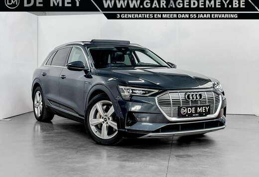 Audi 95kWh 55 Quattro 408pk / PANO / LUCHTVERING / CA ...
