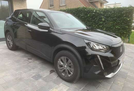 Peugeot 2008 Elektro Active Pack