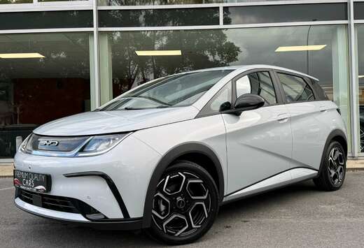 BYD COMFORT / 360CAM / 60 KWH /CARPLAY / KEYLESS /