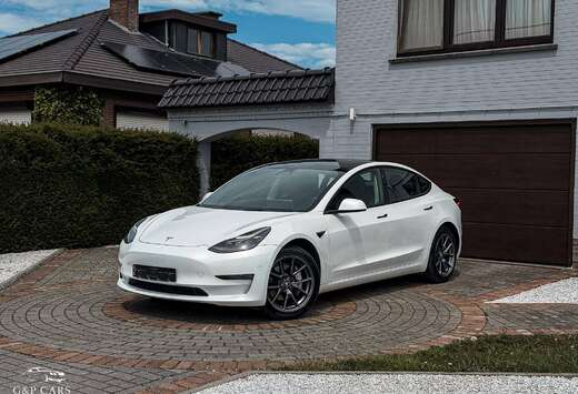 Tesla Tesla Model 3 Long Range Dual Motor AWD  1ste e ...