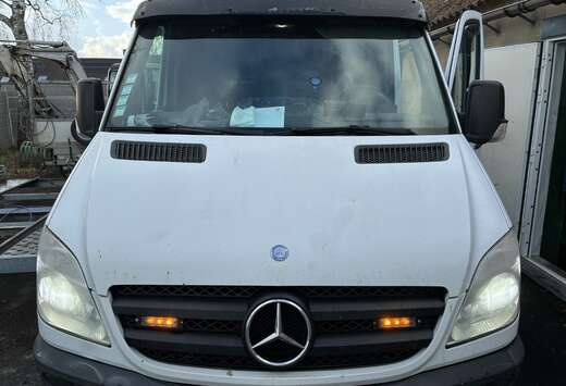 Mercedes-Benz 313 2.1 CDI A2H2