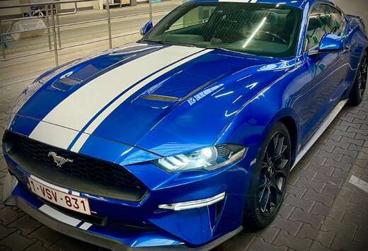 Ford 2.3 EcoBoost (EU6.2)
