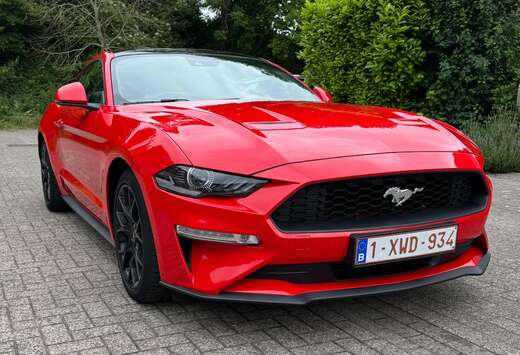 Ford Mustang 2.3 EcoBoost (EU6.2)