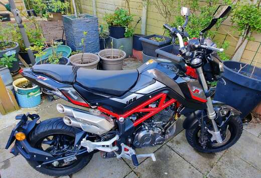 Roadster/Naked bike