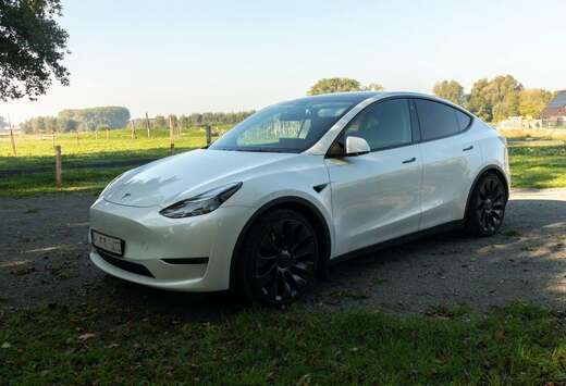 Tesla Performance Dual Motor AWD