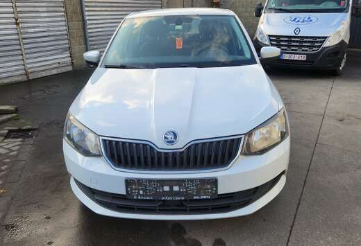 Skoda 1.4 TDi EURO6 MOTOR Probleem Fixed Price