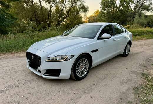 Jaguar XF 2.0 D E-Performance Prestige