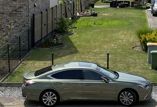 Lexus 300h Luxury Line