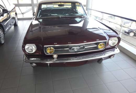 Ford hatchbach
