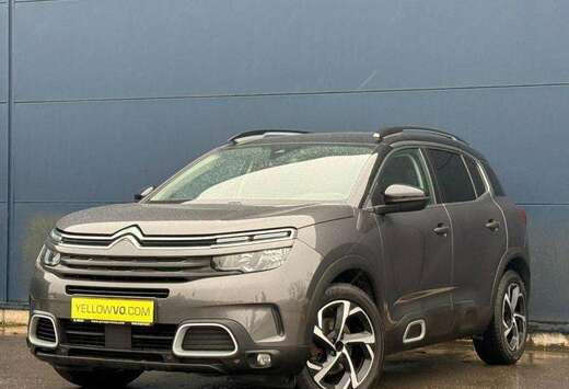 Citroen Feel / EAT8 / 1.5 BlueHDI