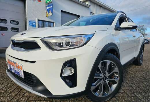 Kia 1.0 Edition 7, Carplay, LineA, VerwStoelen, Cruis ...