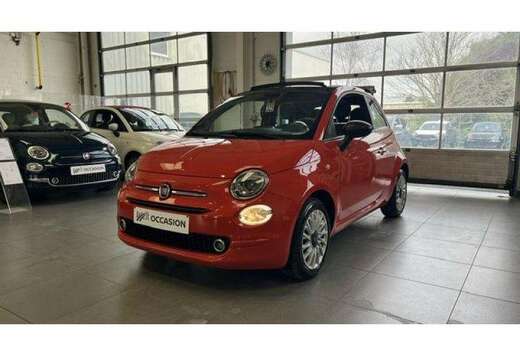 Fiat Cult Limited