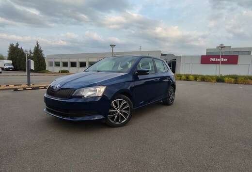 Skoda 1.2 TSI Joy