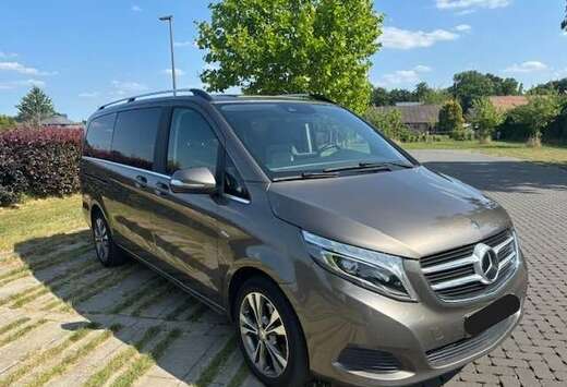 Mercedes-Benz Avantgarde