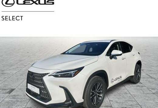 Lexus Executive Line