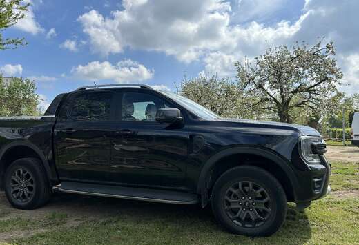 Ford 2,0 l EcoBlue Einzelkabine XL