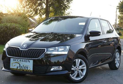 Skoda 1.0 TSI Ambition