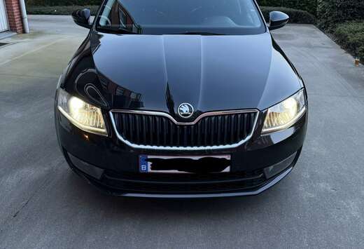 Skoda SW 2.0 CR TDi Style DSG
