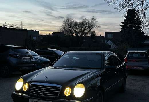 Mercedes-Benz Avantgarde