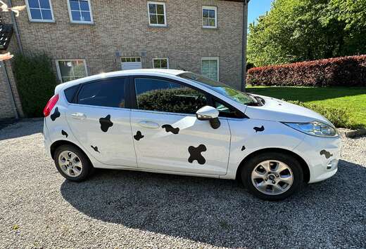 Ford Fiesta 1.6 TDCi Titanium ECOnetic DPF