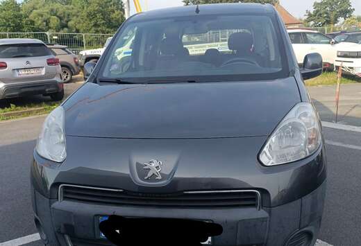 Peugeot Partner Tepee 1.6i Access