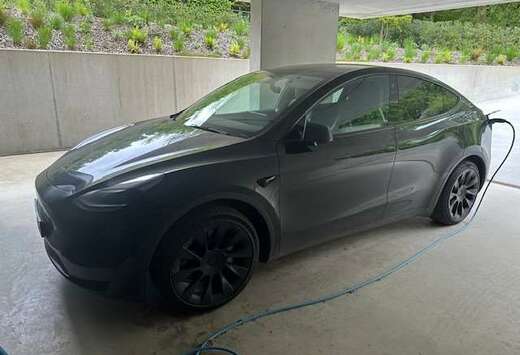 Tesla Model Y RWD