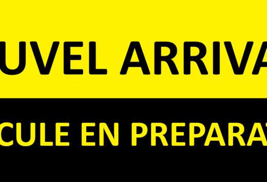 Dacia 1.2 ESSENCE 75CV  1ER MAIN  FAIBLE KILOMETRAGE