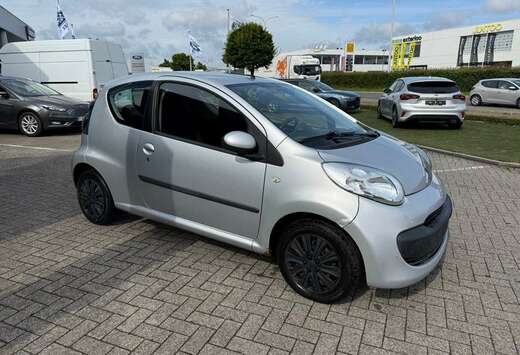 Citroen Enkel voor professionele verkoop.